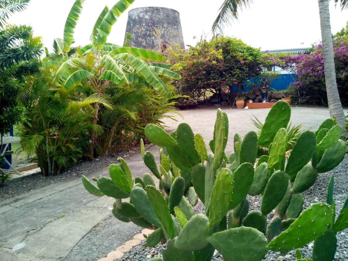 Le Moulin De La Baie Piscine Vue Mer 르 물레 외부 사진