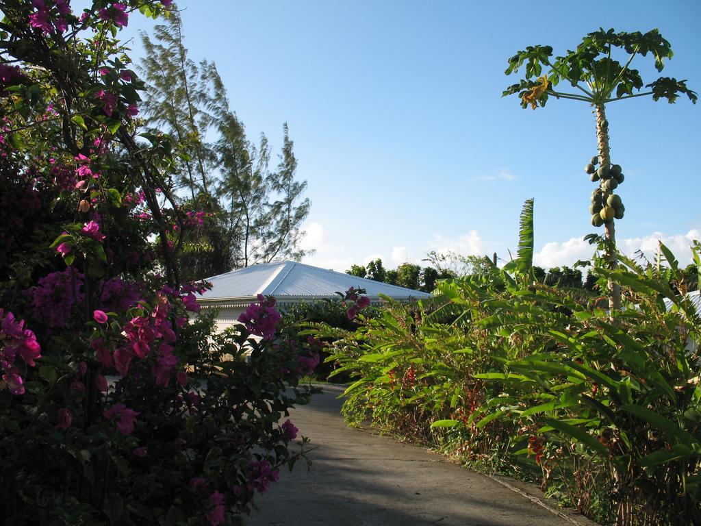 Le Moulin De La Baie Piscine Vue Mer 르 물레 외부 사진