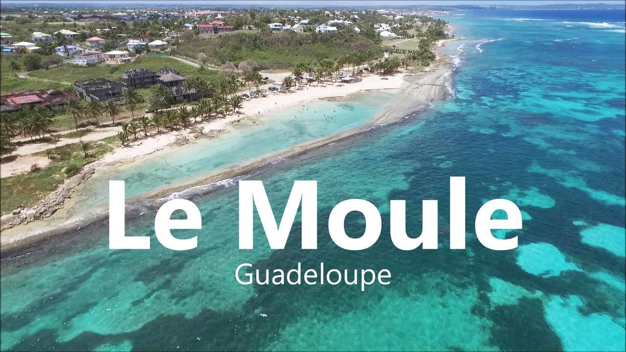 Le Moulin De La Baie Piscine Vue Mer 르 물레 외부 사진
